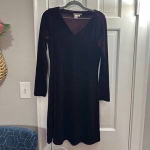 Isabella Bird velvet dress